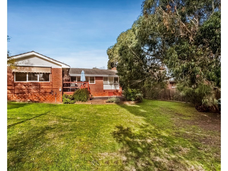 1 Betty Court, Mount Waverley VIC 3149