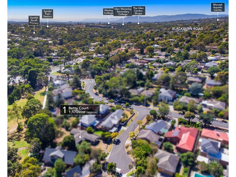 1 Betty Court, Mount Waverley VIC 3149