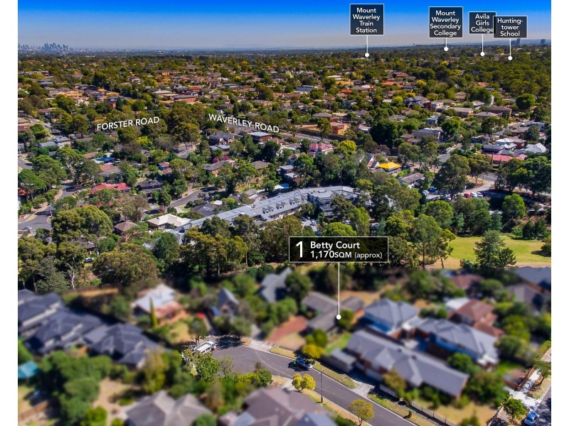 1 Betty Court, Mount Waverley VIC 3149