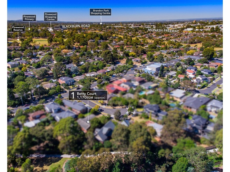 1 Betty Court, Mount Waverley VIC 3149