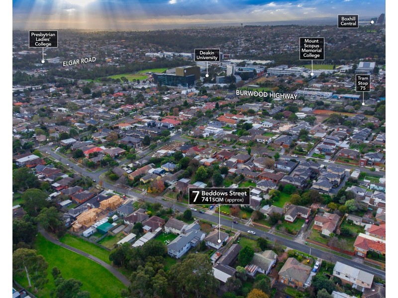 7 Beddows Street, Burwood VIC 3125