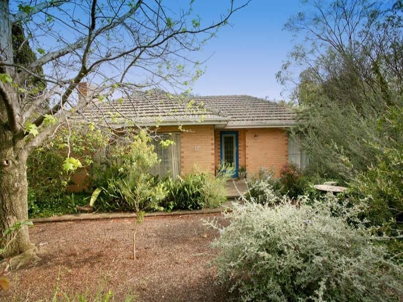 11 Michael Avenue, Glen Waverley VIC 3150