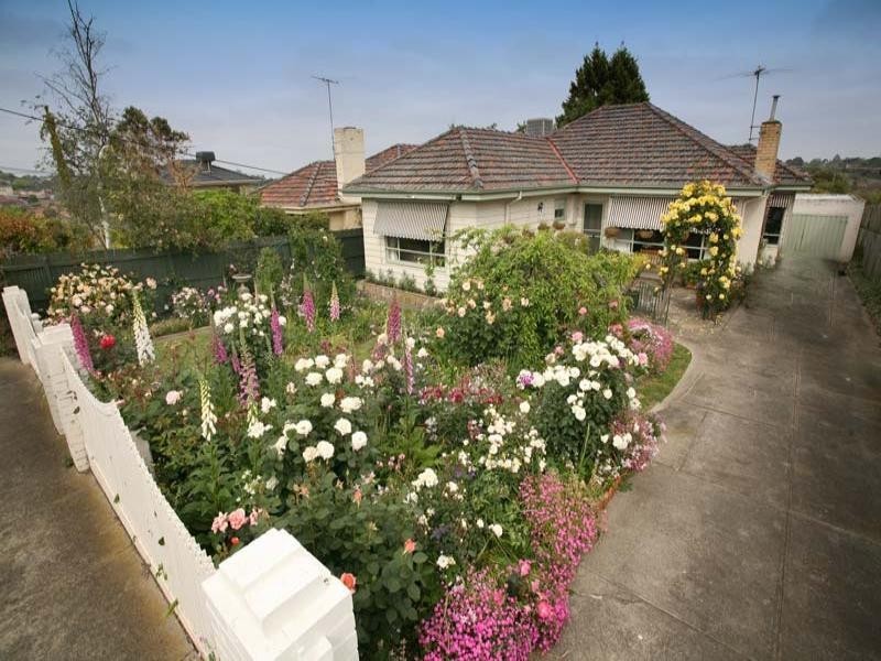 20 Peacock Street, Burwood VIC 3125