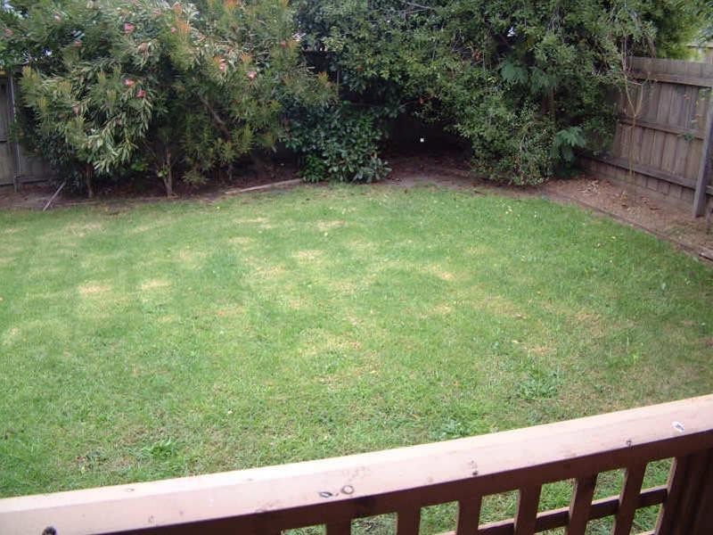 24 Robinson Drive, Burwood VIC 3125