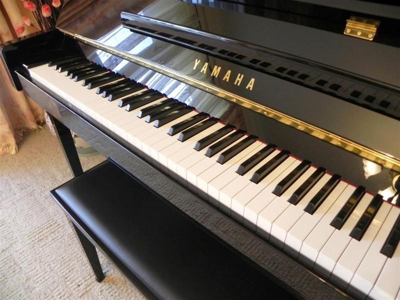 2 Wayne Court, Wheelers Hill VIC 3150