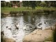 94 Herriotts Boulevard, Glen Waverley VIC 3150