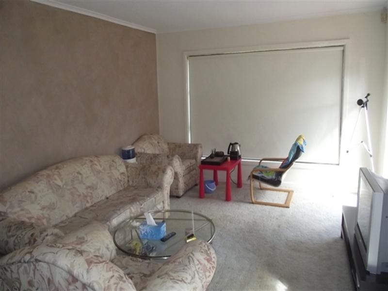 12 Harlington Street, Clayton VIC 3168
