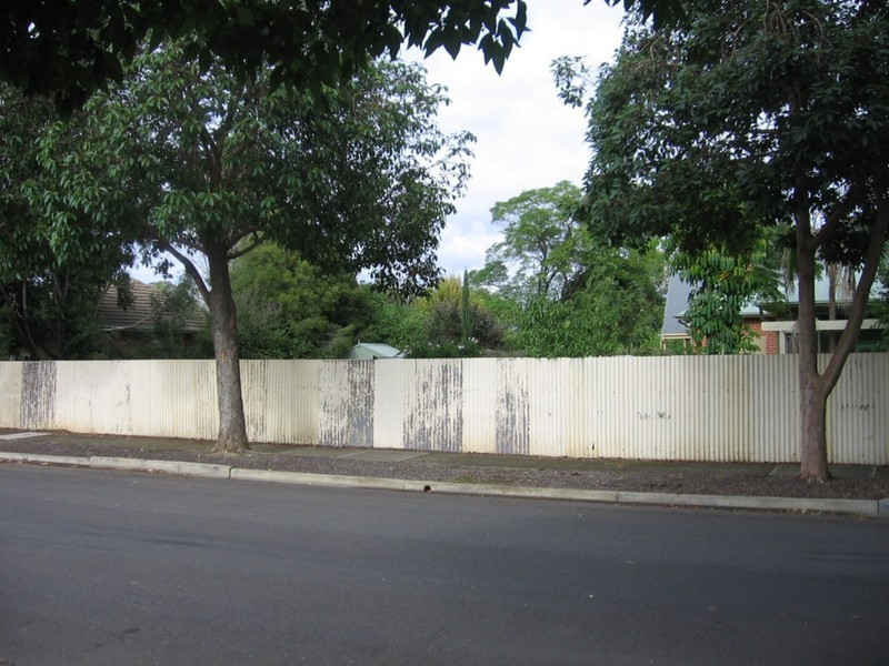 25 Gilding Avenue, Royston Park SA 5070