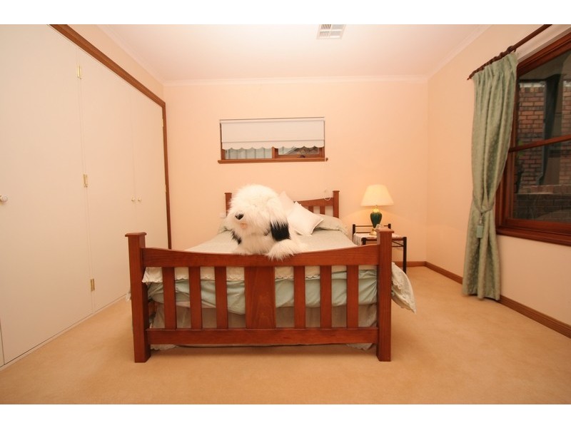 23 Hutchinson Avenue, Athelstone SA 5076