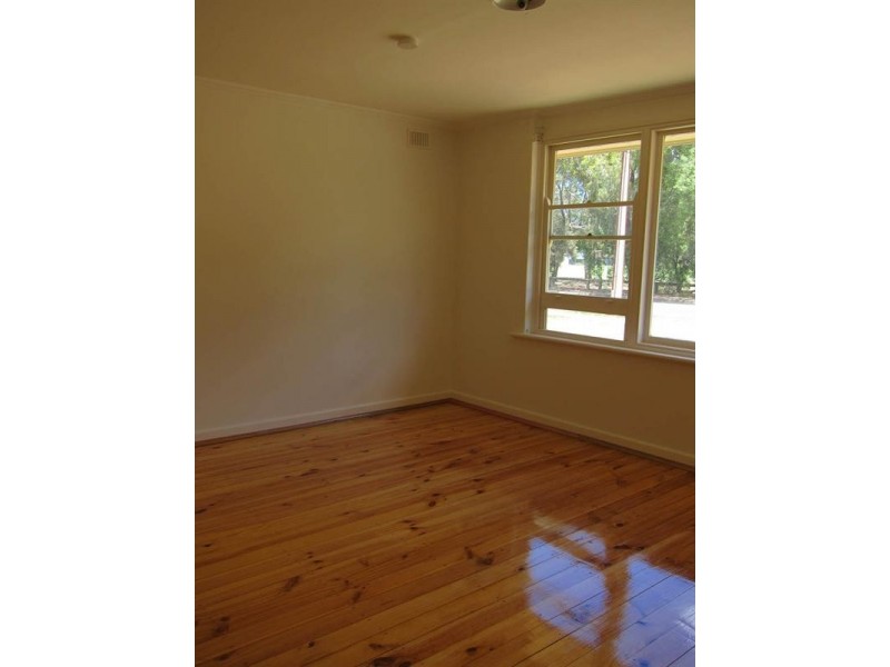 7 Andrew Avenue, Campbelltown SA 5074