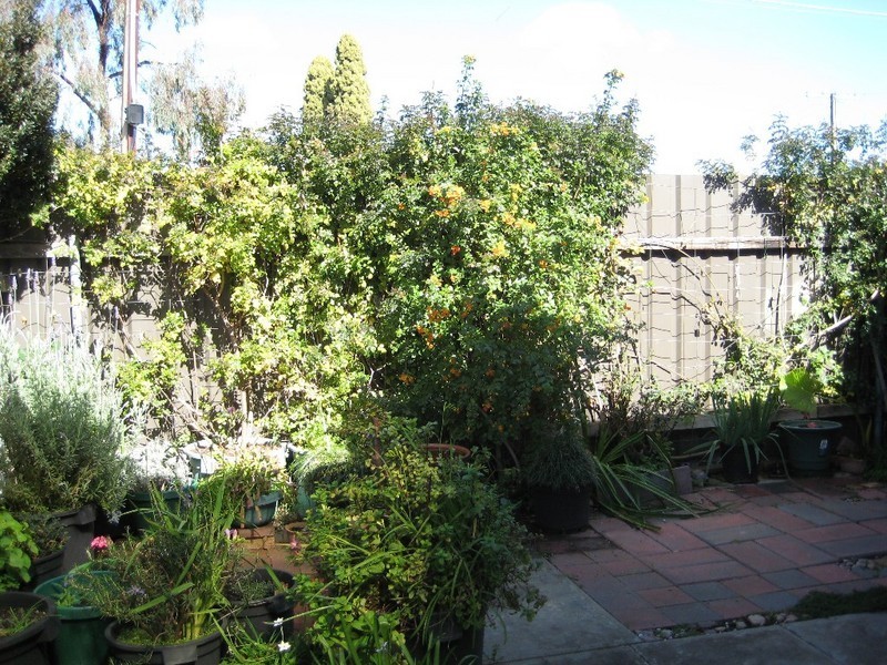 Unit 7, 3 Atkell Avenue, Campbelltown SA 5074