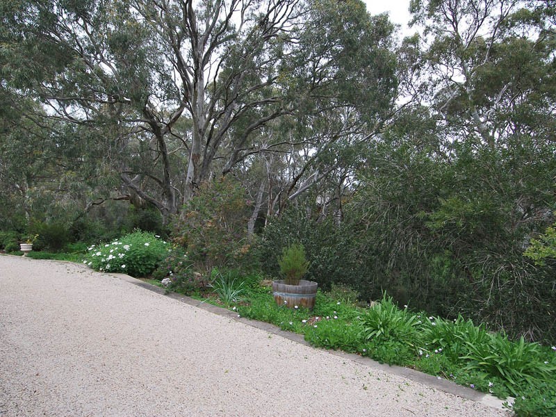 4 Manresa Court, Athelstone SA 5076