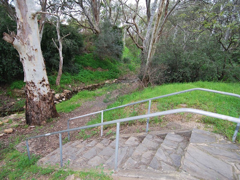4 Manresa Court, Athelstone SA 5076