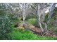 4 Manresa Court, Athelstone SA 5076