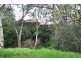 4 Manresa Court, Athelstone SA 5076