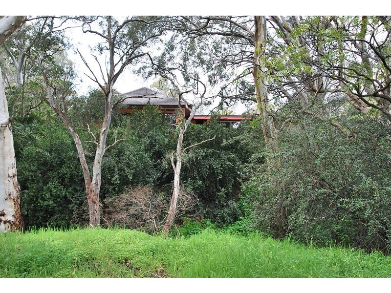 4 Manresa Court, Athelstone SA 5076