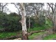 4 Manresa Court, Athelstone SA 5076