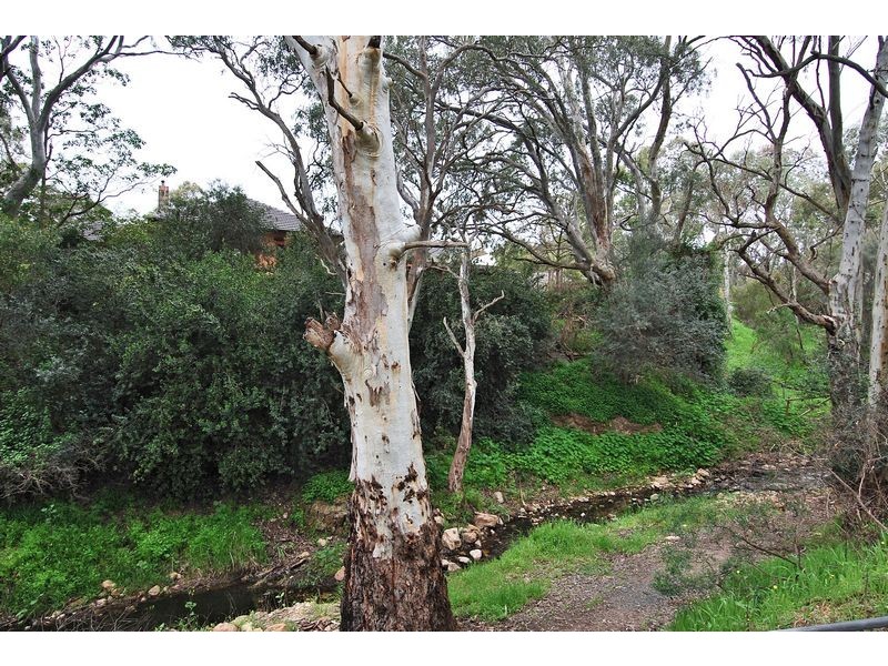 4 Manresa Court, Athelstone SA 5076