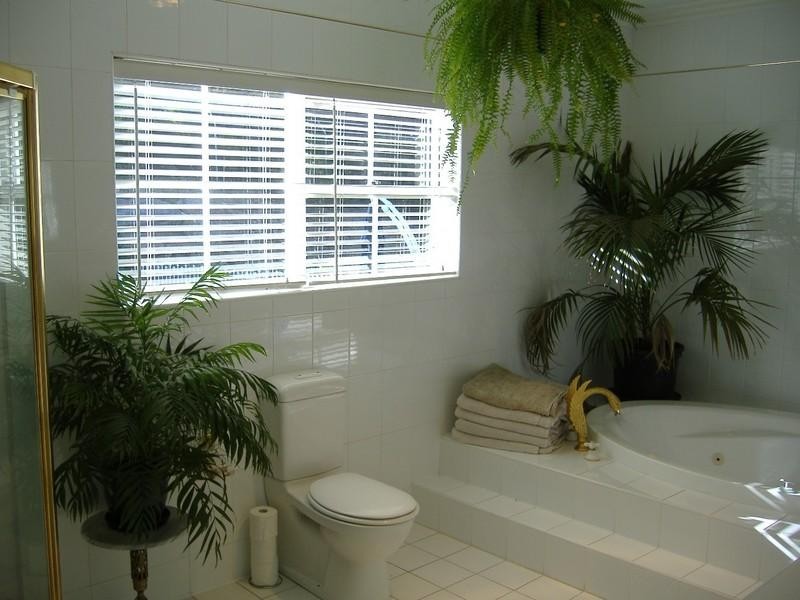 31 Grevillea Avenue, Athelstone SA 5076