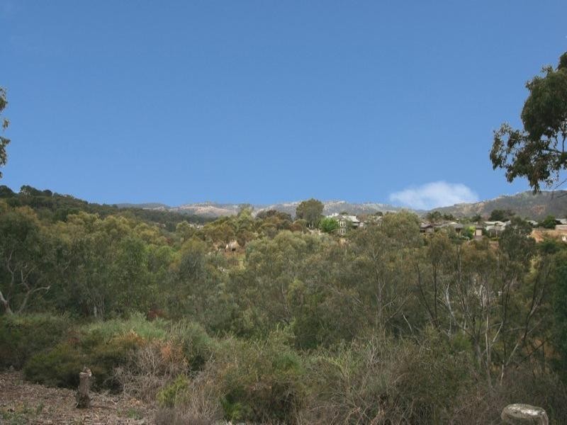 36 Sassafras Drive, Highbury SA 5089