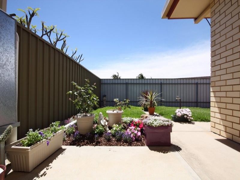 173 George Street, Paradise SA 5075