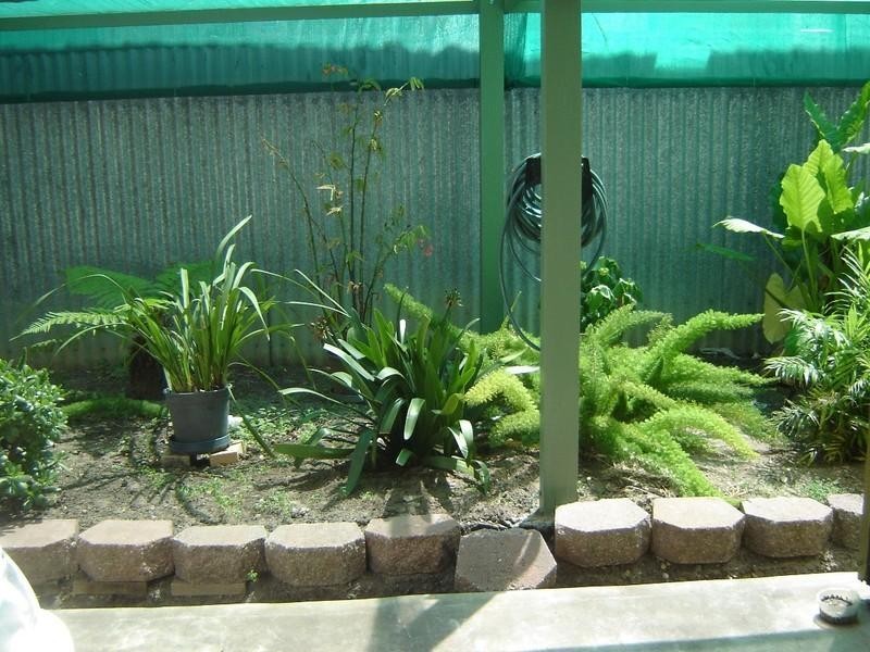 61 Crozier Avenue, Newton SA 5074