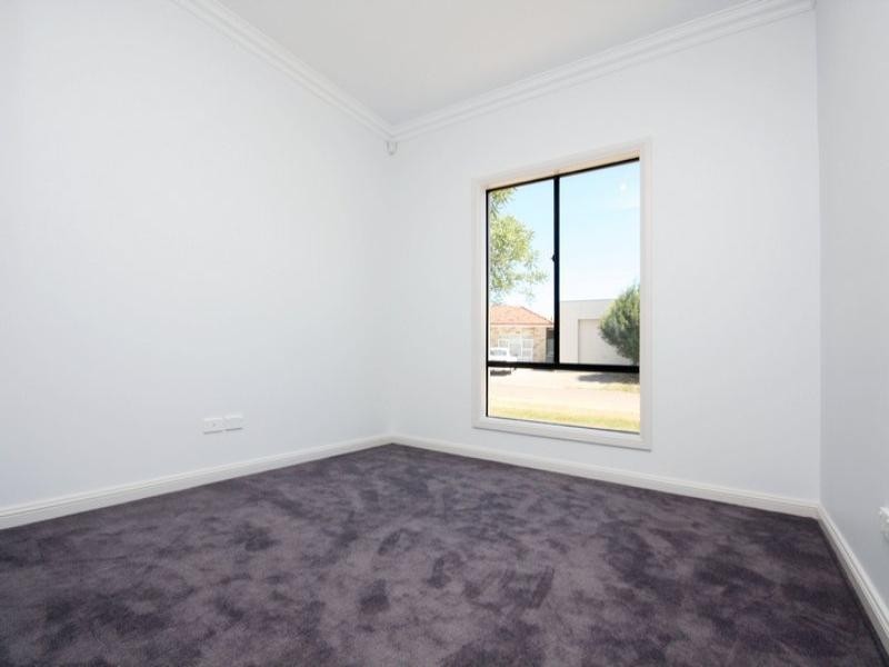 11 Budhollow Avenue, Paradise SA 5075