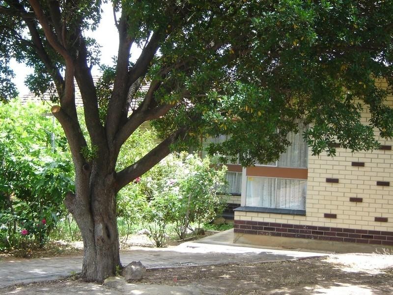 10 Jeff Street, Para Vista SA 5093