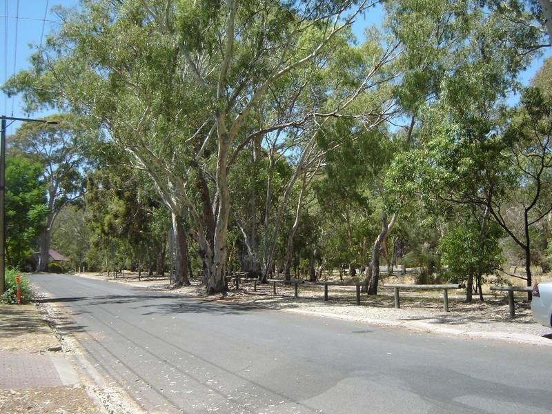 79a Leabrook Drive, Rostrevor SA 5073