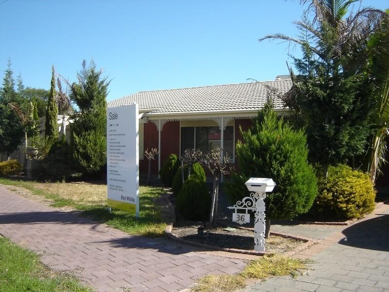 36 Frank Street, Newton SA 5074
