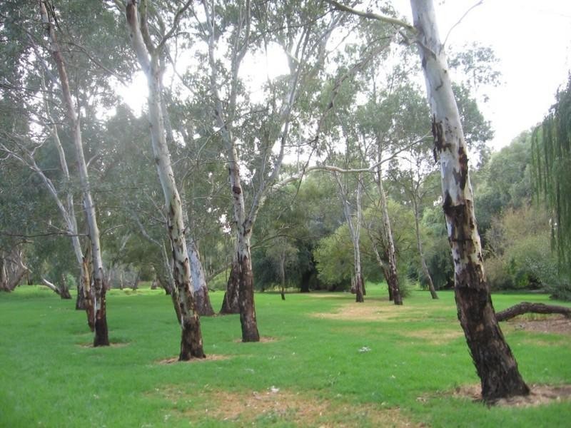 41 and 41a Riverside Drive, Felixstow SA 5070