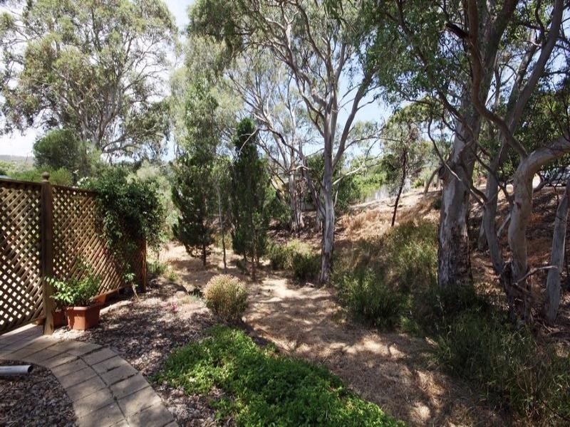 5 Hockley Terrace, Athelstone SA 5076