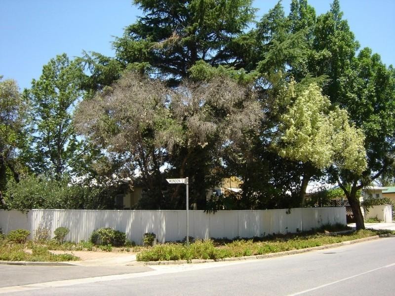 86 Clairville Road, Campbelltown SA 5074