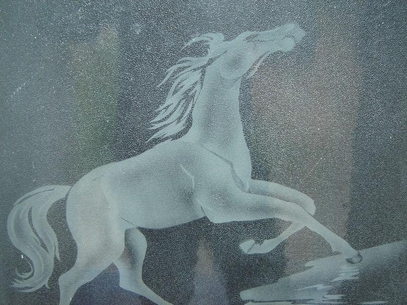 12 Mayfield Avenue, Hectorville SA 5073