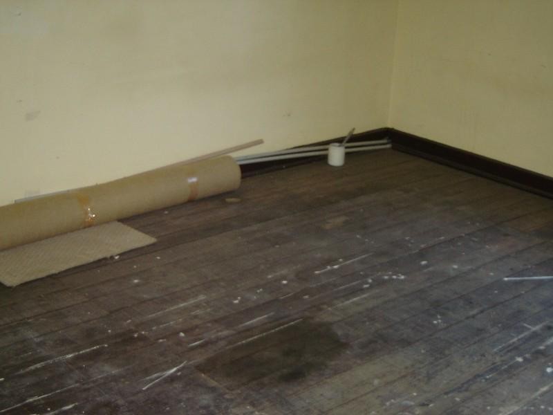 12 Mayfield Avenue, Hectorville SA 5073