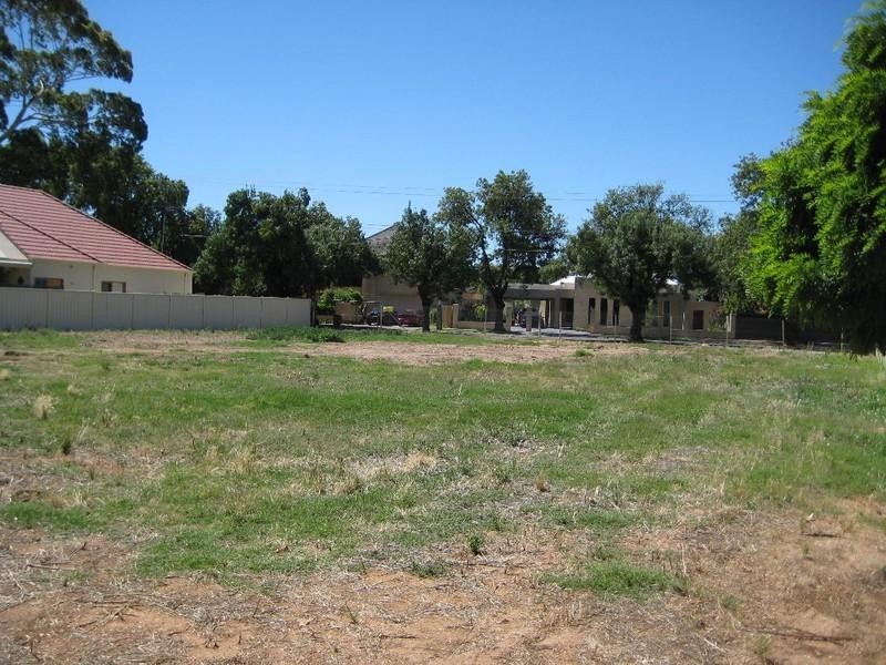 7 Salisbury Terrace., Collinswood SA 5081