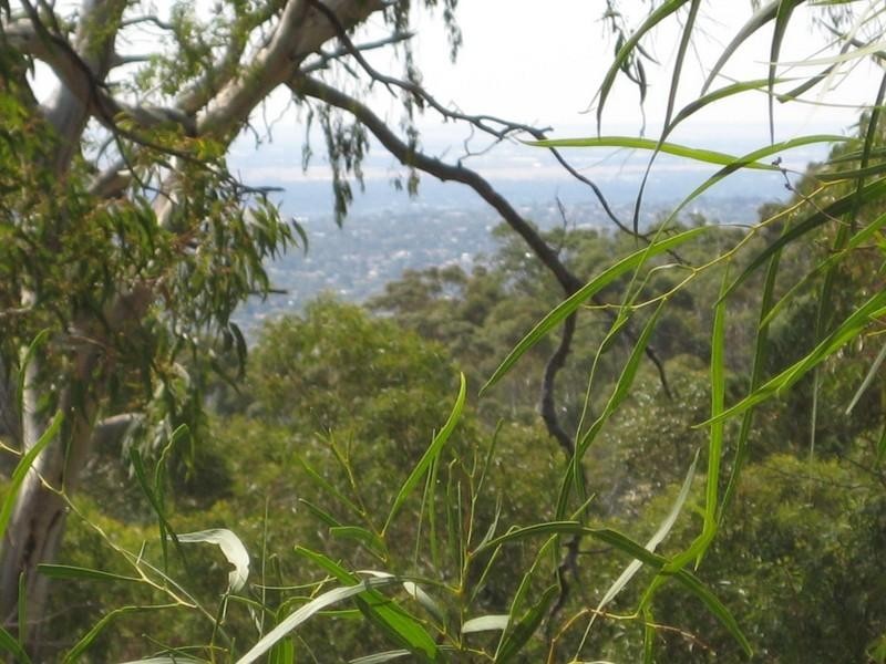 3 Northview Way., Teringie SA 5072