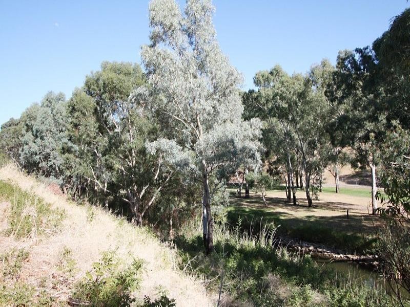 58 River Drive, Athelstone SA 5076