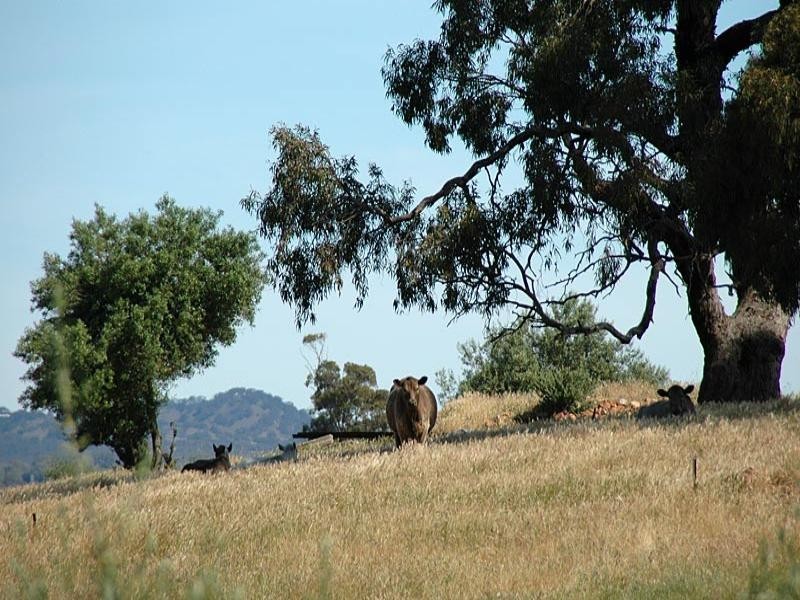 Lot 1 Gawler to One Tree Hill Road (Yattalunga), One Tree Hill SA 5114