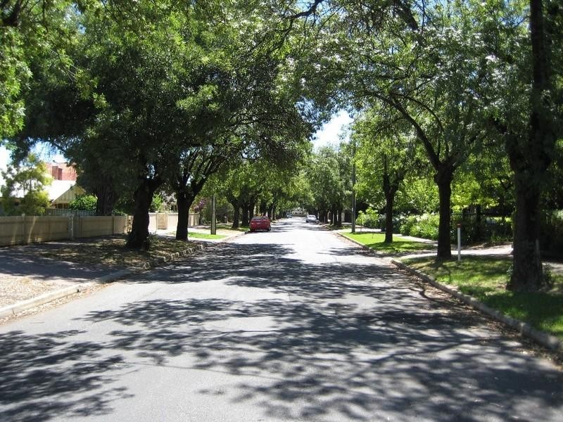 7 Salisbury Terrace., Collinswood SA 5081