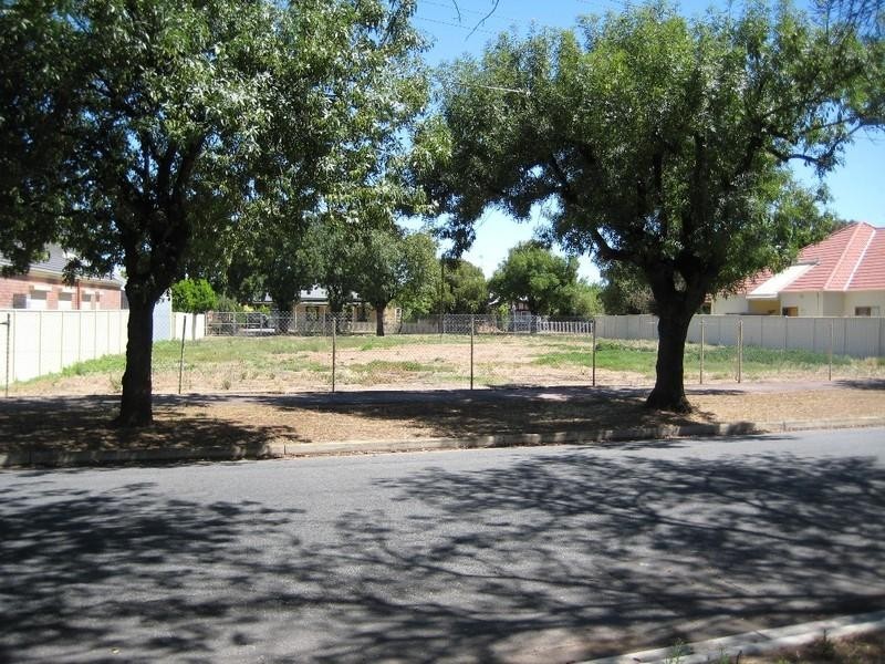 7 Salisbury Terrace., Collinswood SA 5081