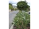 2, 73 Vine Street, Magill SA 5072