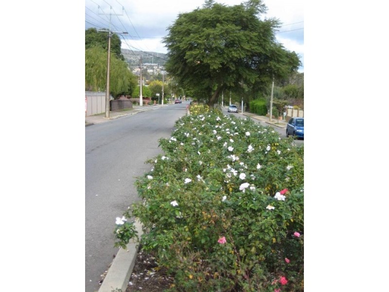 2, 73 Vine Street, Magill SA 5072