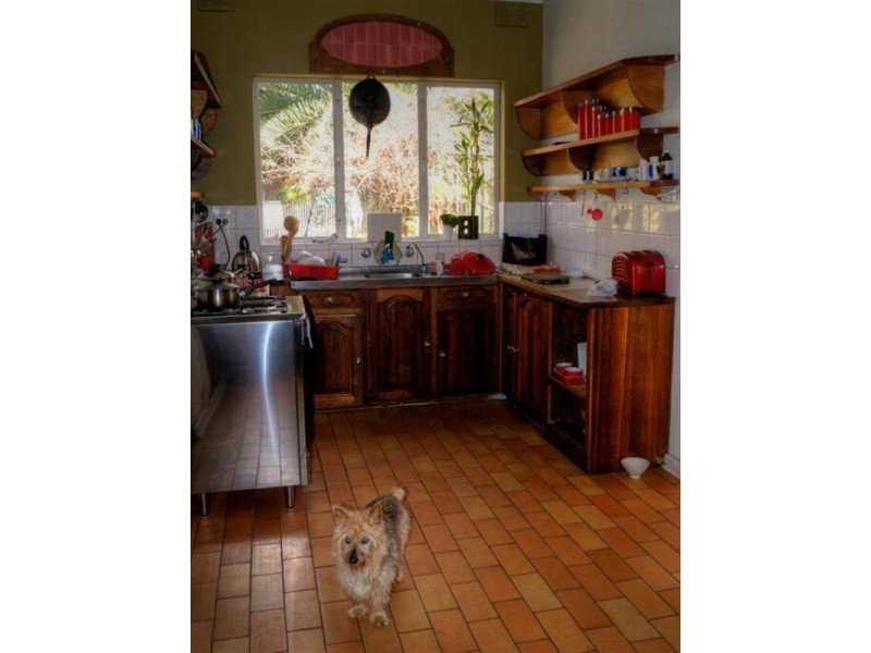 4 Fisher Street, Magill SA 5072