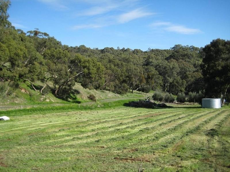 37 Clement Road., Athelstone SA 5076