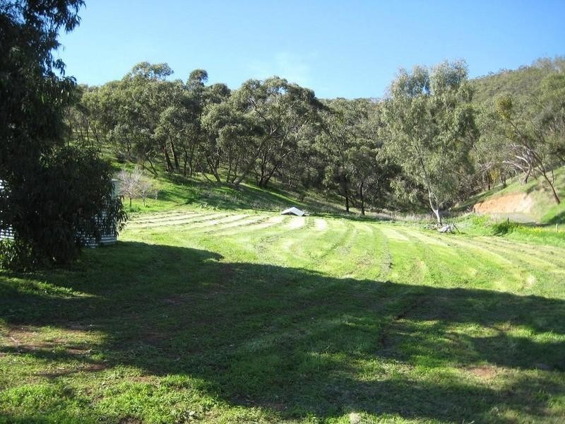 37 Clement Road., Athelstone SA 5076