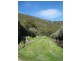 37 Clement Road., Athelstone SA 5076