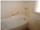 28 Cedar Avenue, Campbelltown SA 5074
