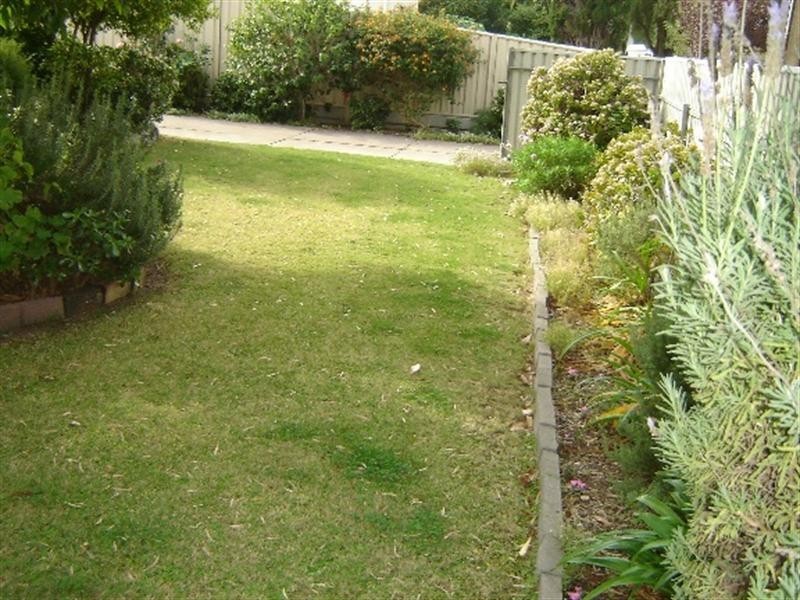 87 Clairville Road, Campbelltown SA 5074