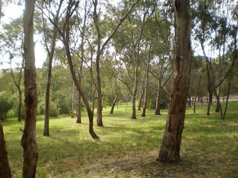 10 Old Orchard Close, Athelstone SA 5076